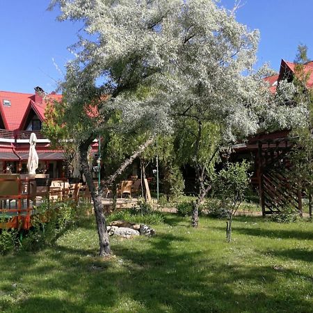Hotel Pensiunea Casa Matei Berca Esterno foto