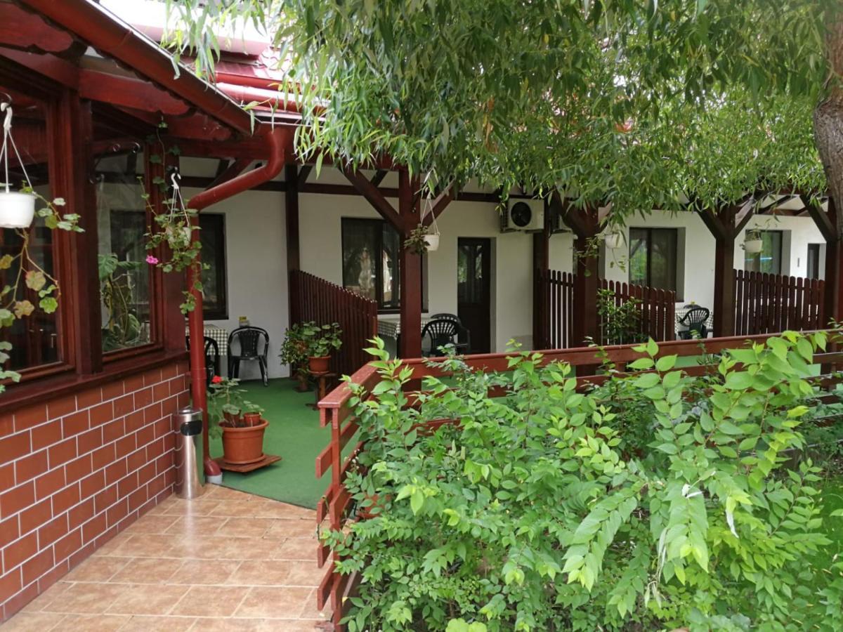 Hotel Pensiunea Casa Matei Berca Esterno foto