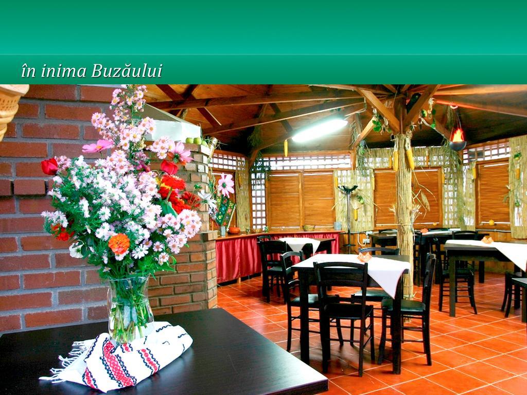 Hotel Pensiunea Casa Matei Berca Esterno foto