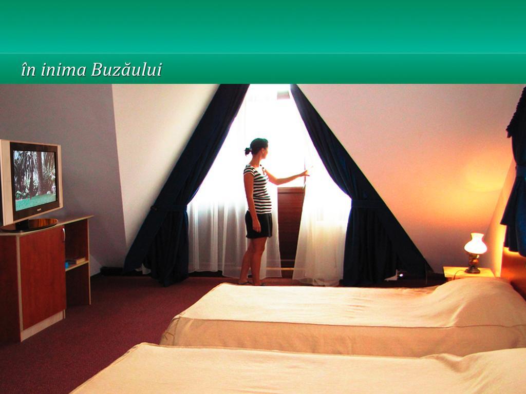 Hotel Pensiunea Casa Matei Berca Camera foto