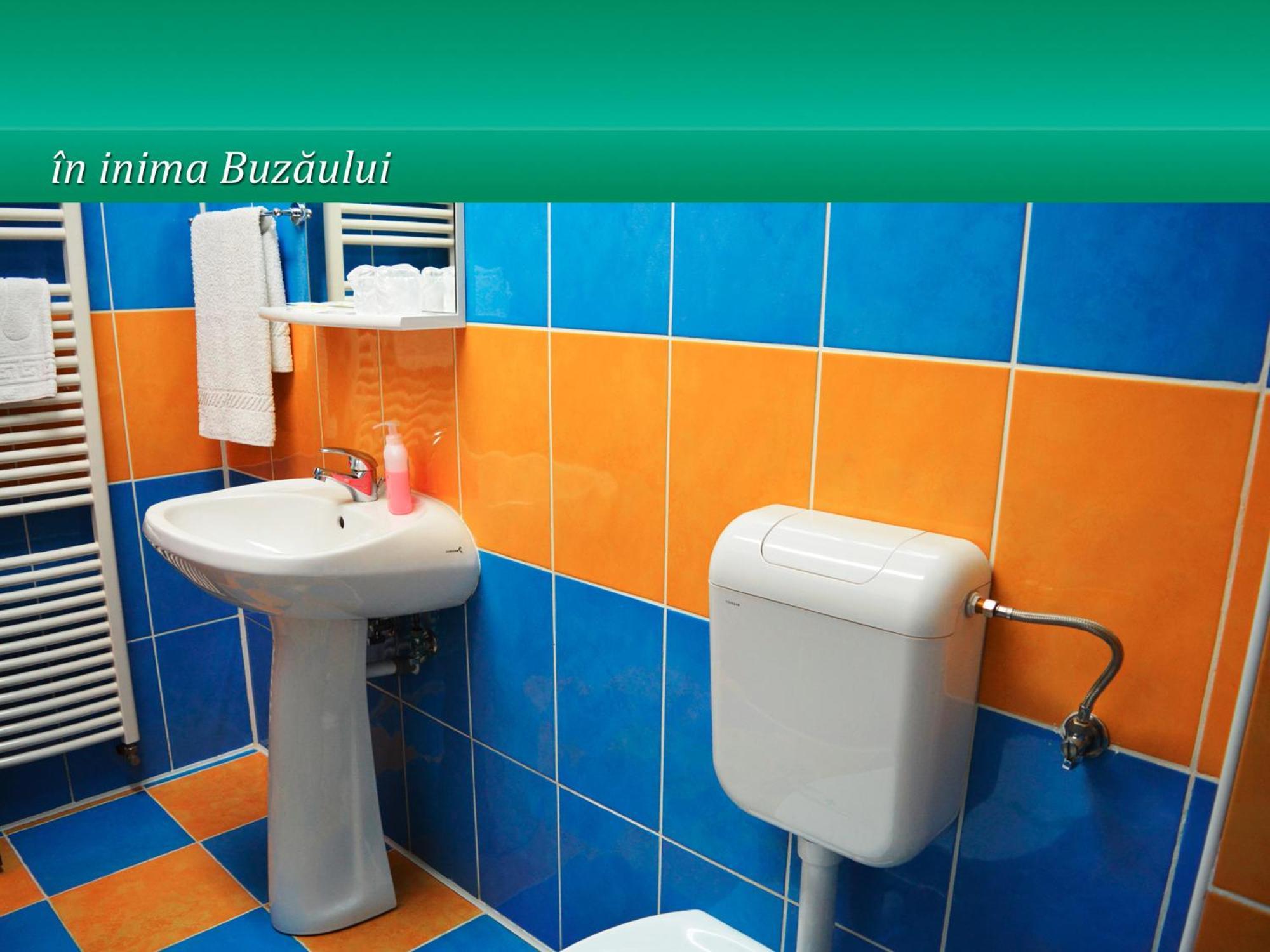 Hotel Pensiunea Casa Matei Berca Esterno foto