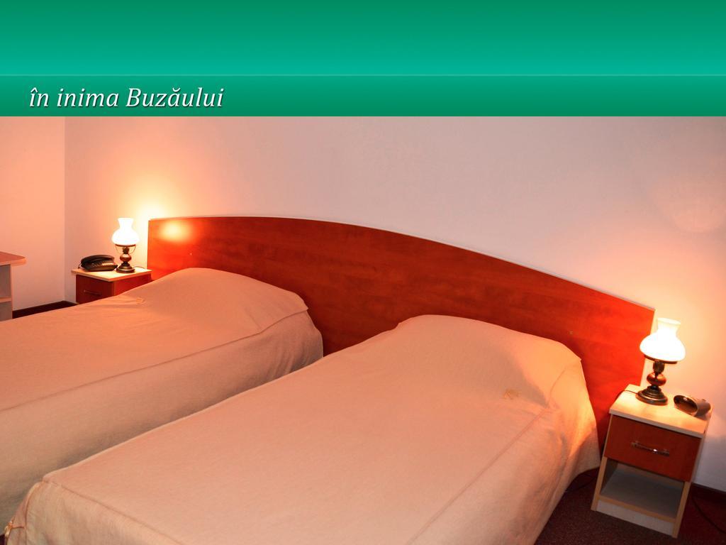 Hotel Pensiunea Casa Matei Berca Camera foto